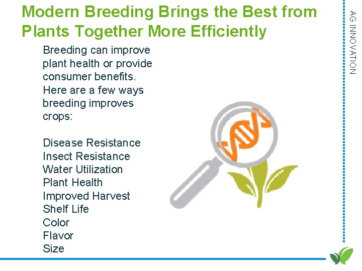 Breeding can improve plant health or provide consumer benefits. Here a few ways breeding Breeding can improve plant health or provide consumer benefits. Here a few ways breeding