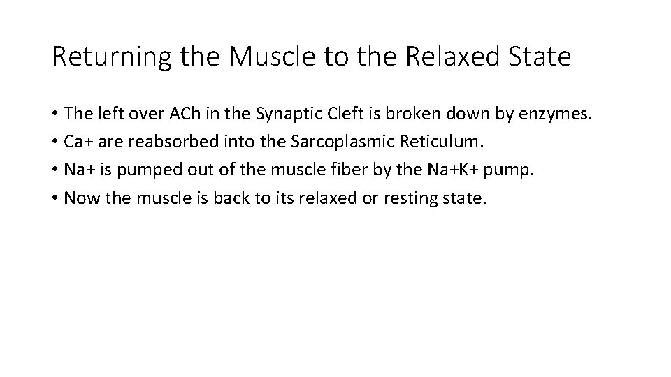 Returning the Muscle to the Relaxed State • The left over ACh in the