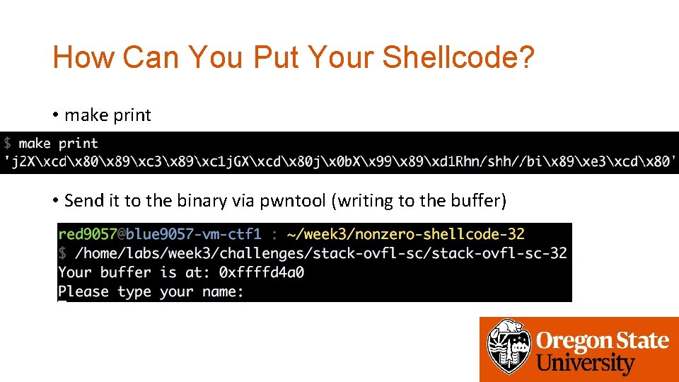 How Can You Put Your Shellcode? • make print • Send it to the