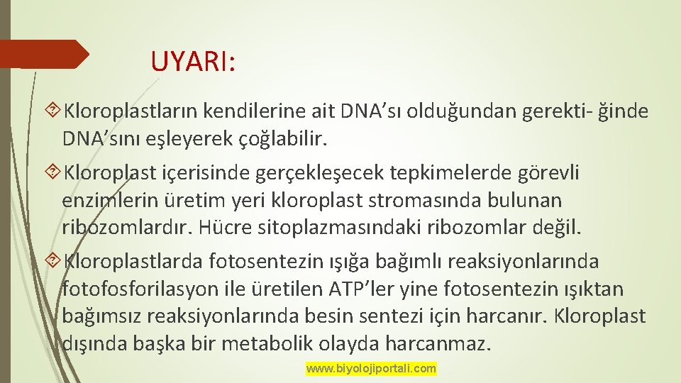 UYARI: Kloroplastların kendilerine ait DNA’sı olduğundan gerekti- ğinde DNA’sını eşleyerek çoğlabilir. Kloroplast içerisinde gerçekleşecek