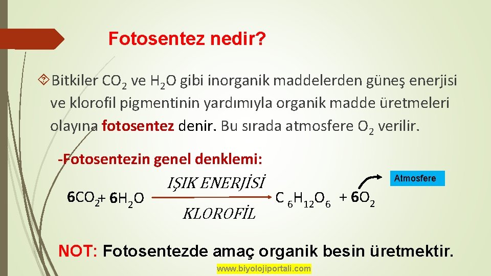 Fotosentez nedir? Bitkiler CO 2 ve H 2 O gibi inorganik maddelerden güneş enerjisi