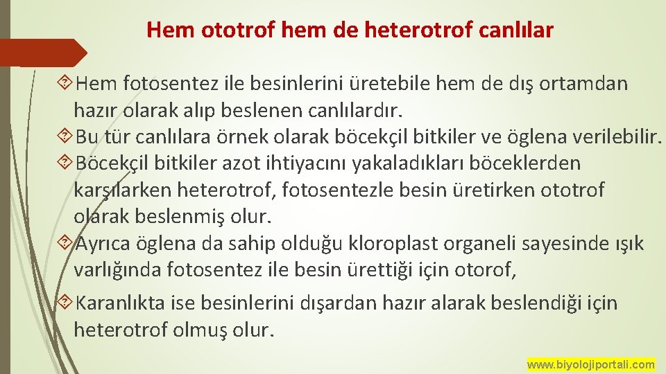 Hem ototrof hem de heterotrof canlılar Hem fotosentez ile besinlerini üretebile hem de dış