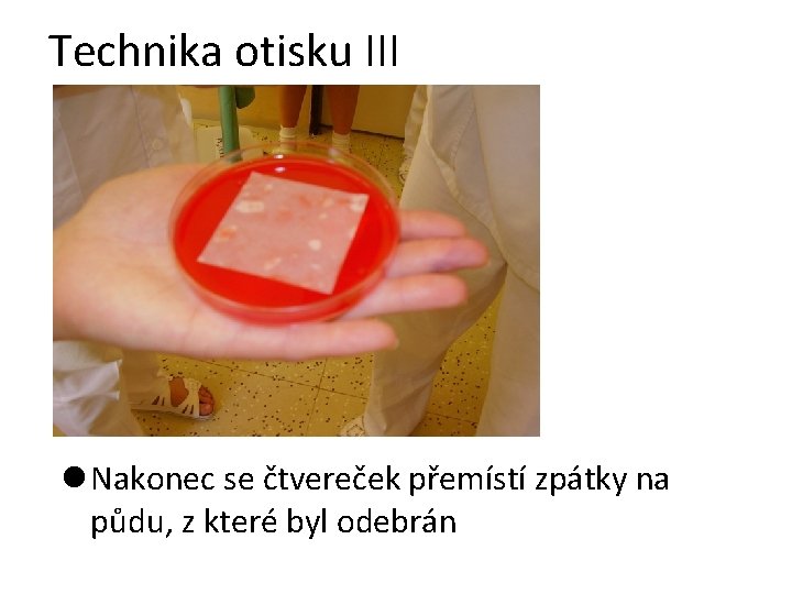 Technika otisku III l Nakonec se čtvereček přemístí zpátky na půdu, z které byl Technika otisku III l Nakonec se čtvereček přemístí zpátky na půdu, z které byl