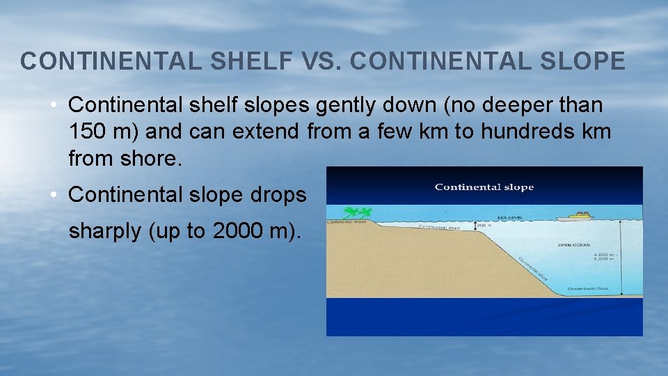 CONTINENTAL SHELF VS. CONTINENTAL SLOPE • Continental shelf slopes gently down (no deeper than