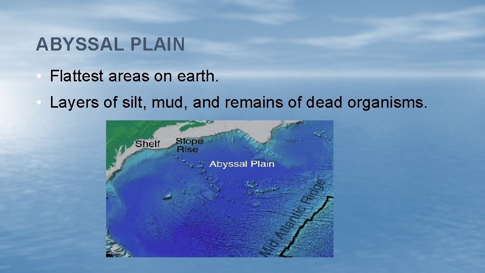 ABYSSAL PLAIN • Flattest areas on earth. • Layers of silt, mud, and remains