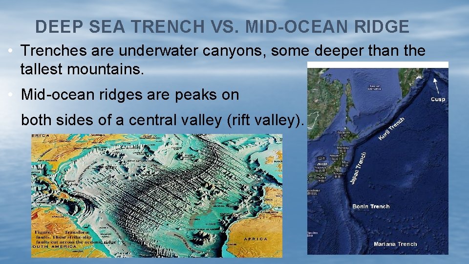 DEEP SEA TRENCH VS. MID-OCEAN RIDGE • Trenches are underwater canyons, some deeper than