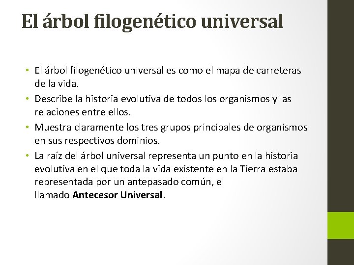 El árbol filogenético universal • El árbol filogenético universal es como el mapa de