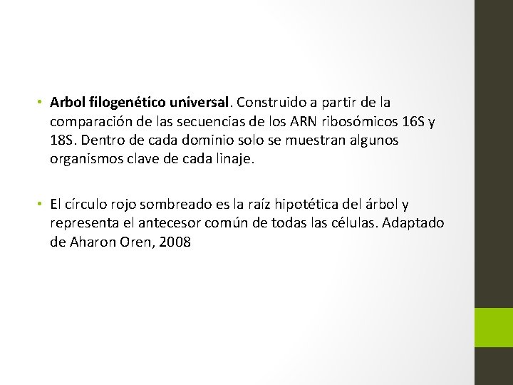  • Arbol filogenético universal. Construido a partir de la comparación de las secuencias