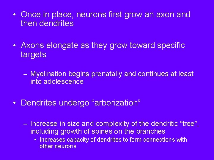 • Once in place, neurons first grow an axon and then dendrites • • Once in place, neurons first grow an axon and then dendrites •