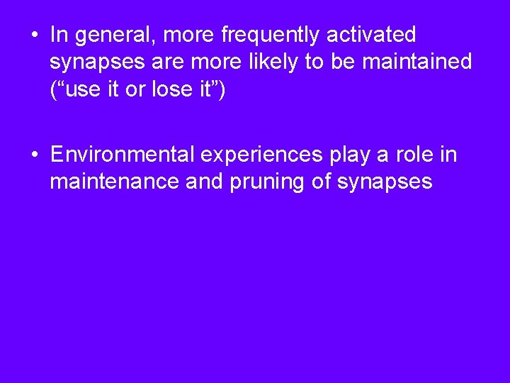 • In general, more frequently activated synapses are more likely to be maintained • In general, more frequently activated synapses are more likely to be maintained