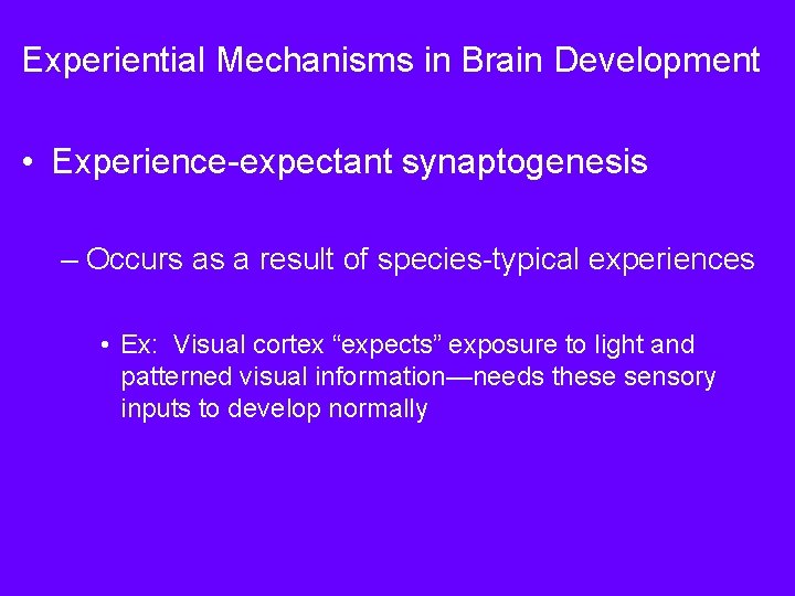 Experiential Mechanisms in Brain Development • Experience-expectant synaptogenesis – Occurs as a result of Experiential Mechanisms in Brain Development • Experience-expectant synaptogenesis – Occurs as a result of