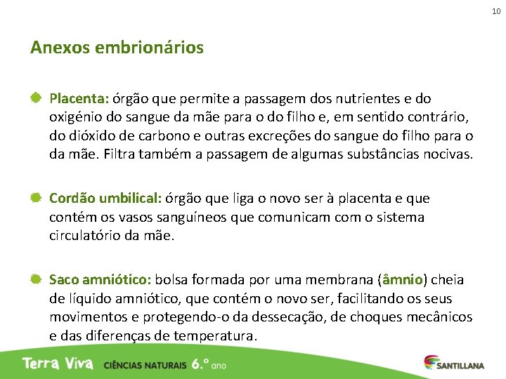 10 Anexos embrionários Placenta: órgão que permite a passagem dos nutrientes e do oxigénio 10 Anexos embrionários Placenta: órgão que permite a passagem dos nutrientes e do oxigénio