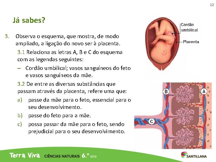 12 Já sabes? 3. Observa o esquema, que mostra, de modo ampliado, a ligação 12 Já sabes? 3. Observa o esquema, que mostra, de modo ampliado, a ligação