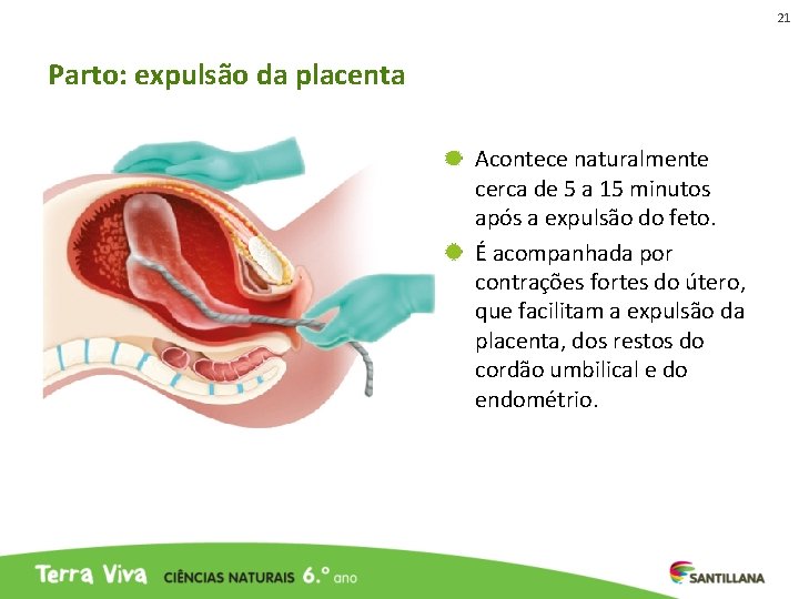 21 Parto: expulsão da placenta Acontece naturalmente cerca de 5 a 15 minutos após 21 Parto: expulsão da placenta Acontece naturalmente cerca de 5 a 15 minutos após