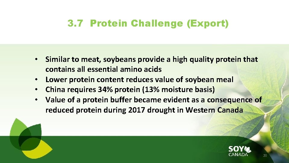 3. 7 Protein Challenge (Export) • Similar to meat, soybeans provide a high quality