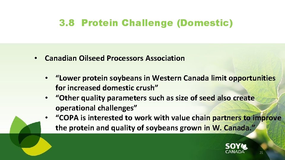 3. 8 Protein Challenge (Domestic) • Canadian Oilseed Processors Association • “Lower protein soybeans
