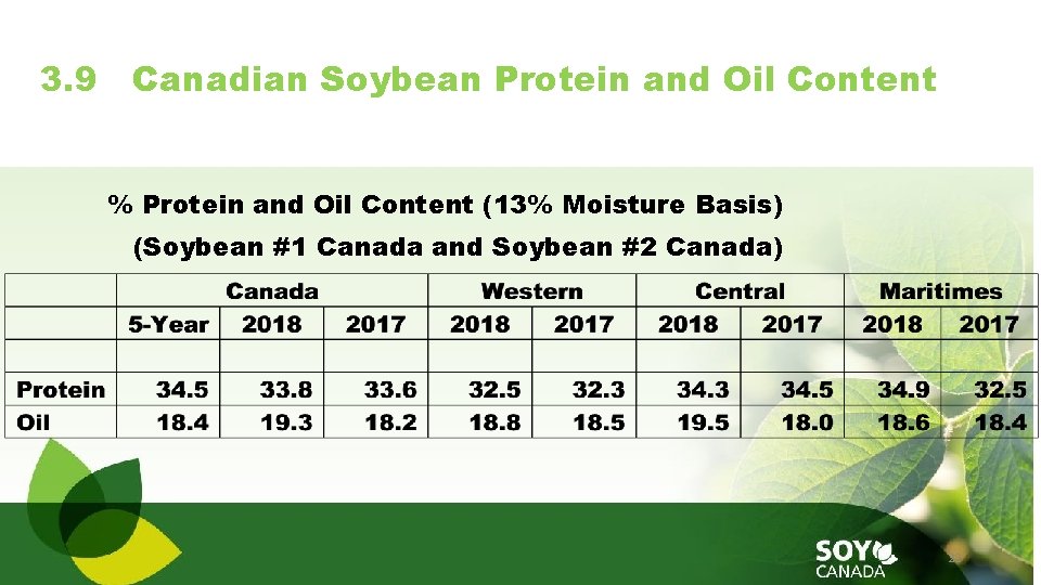 3. 9 Canadian Soybean Protein and Oil Content % Protein and Oil Content (13%