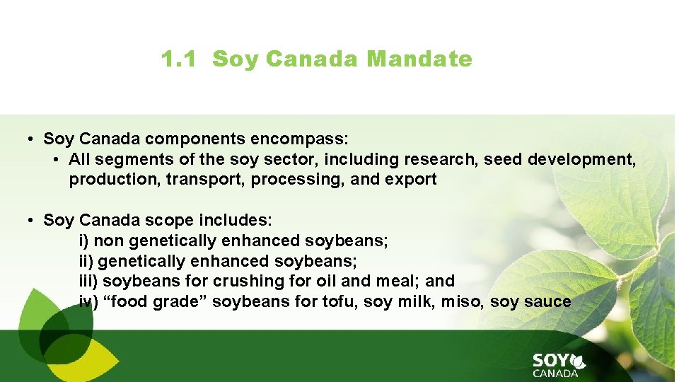 1. 1 Soy Canada Mandate • Soy Canada components encompass: • All segments of