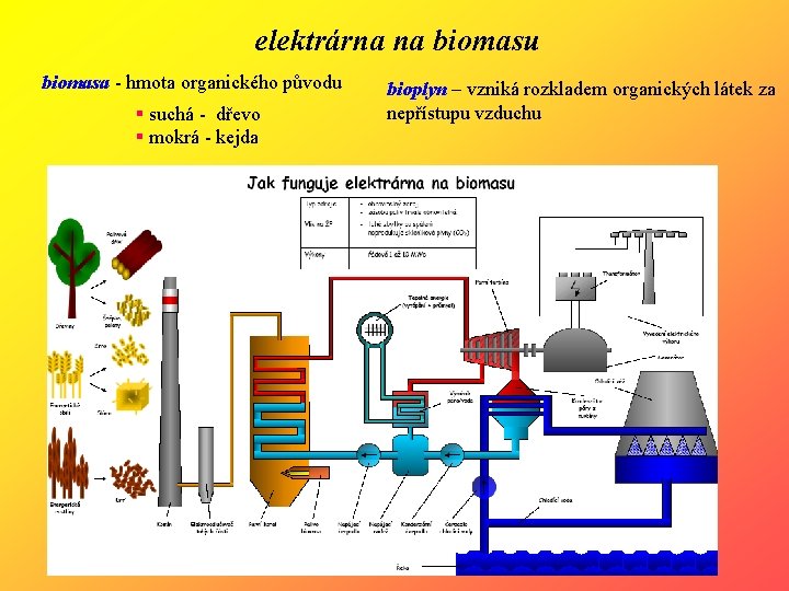 elektrárna na biomasu biomasa - hmota organického původu § suchá - dřevo § mokrá