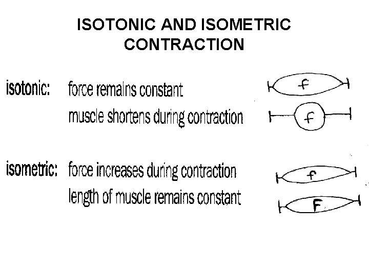 ISOTONIC AND ISOMETRIC CONTRACTION 