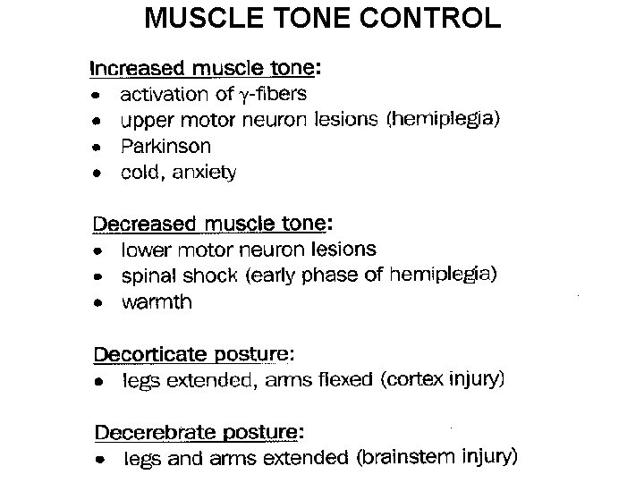 MUSCLE TONE CONTROL 