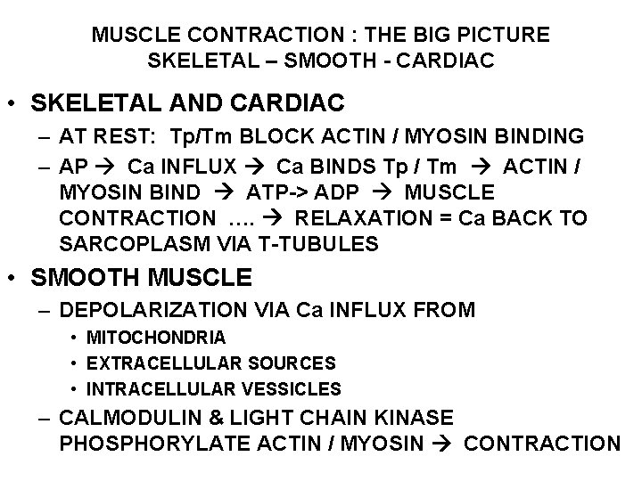 MUSCLE CONTRACTION : THE BIG PICTURE SKELETAL – SMOOTH - CARDIAC • SKELETAL AND