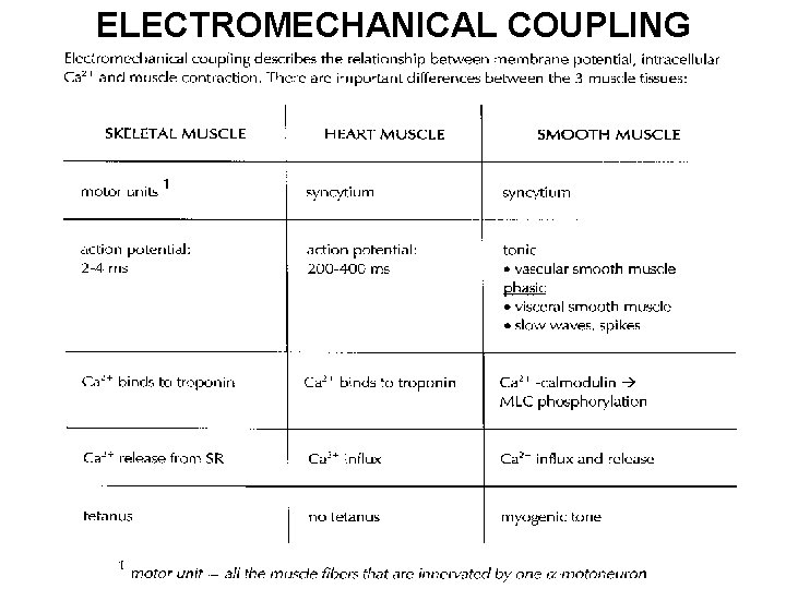 ELECTROMECHANICAL COUPLING 