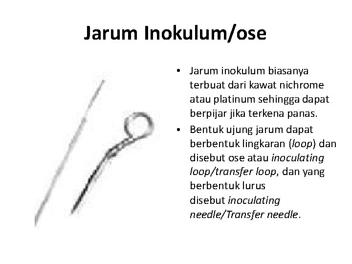 Jarum Inokulum/ose • Jarum inokulum biasanya terbuat dari kawat nichrome atau platinum sehingga dapat