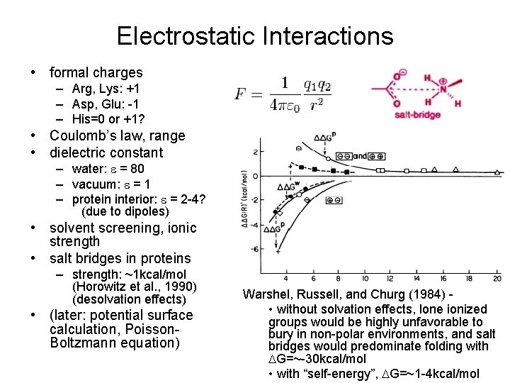 Electrostatic Interactions • formal charges – Arg, Lys: +1 – Asp, Glu: -1 –