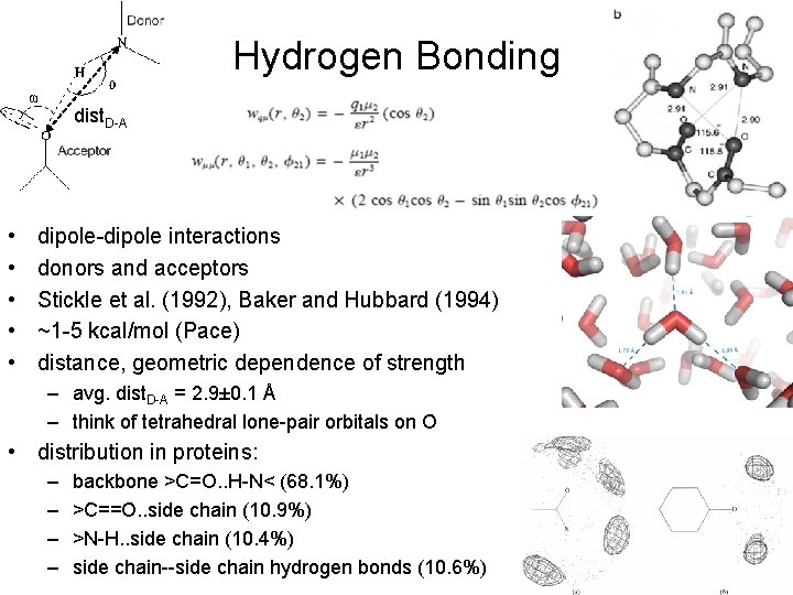 Hydrogen Bonding dist. D-A • • • dipole-dipole interactions donors and acceptors Stickle et