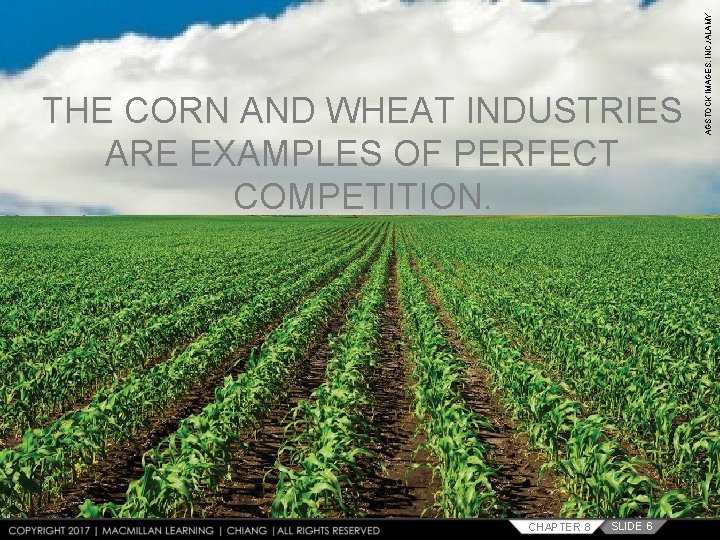 CHAPTER 8 SLIDE 6 AGSTOCK IMAGES, INC. /ALAMY THE CORN AND WHEAT INDUSTRIES ARE