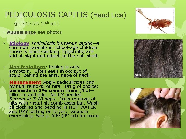 PEDICULOSIS CAPITIS (Head Lice) (p. 233 -236 10 th ed. ) • Appearance: see
