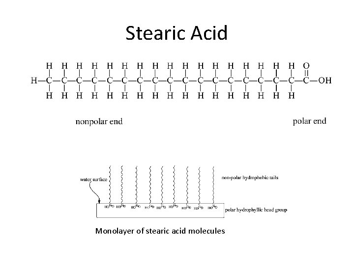 Stearic Acid Monolayer of stearic acid molecules 