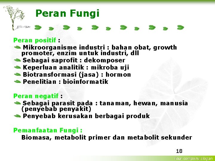 Peran Fungi Peran positif : Mikroorganisme industri : bahan obat, growth promoter, enzim untuk