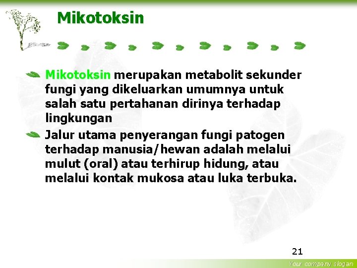 Mikotoksin merupakan metabolit sekunder fungi yang dikeluarkan umumnya untuk salah satu pertahanan dirinya terhadap