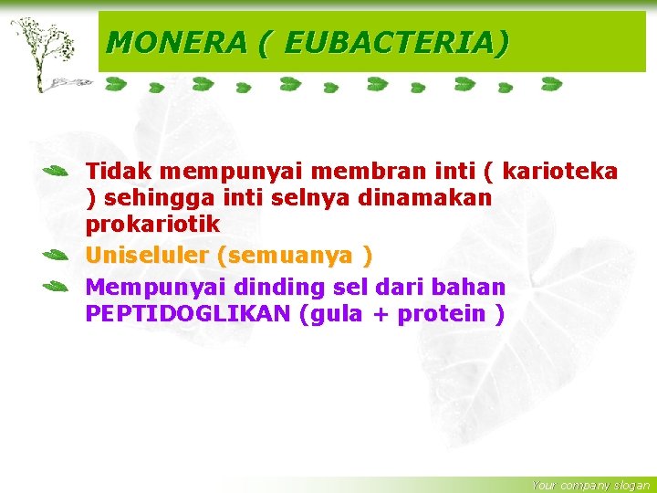 MONERA ( EUBACTERIA) Tidak mempunyai membran inti ( karioteka ) sehingga inti selnya dinamakan