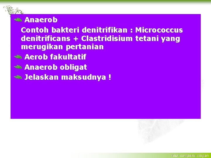 Anaerob Contoh bakteri denitrifikan : Micrococcus denitrificans + Clastridisium tetani yang merugikan pertanian Aerob