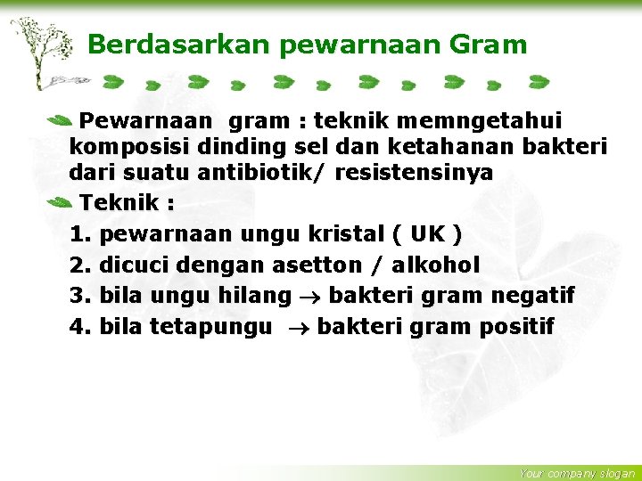 Berdasarkan pewarnaan Gram Pewarnaan gram : teknik memngetahui komposisi dinding sel dan ketahanan bakteri