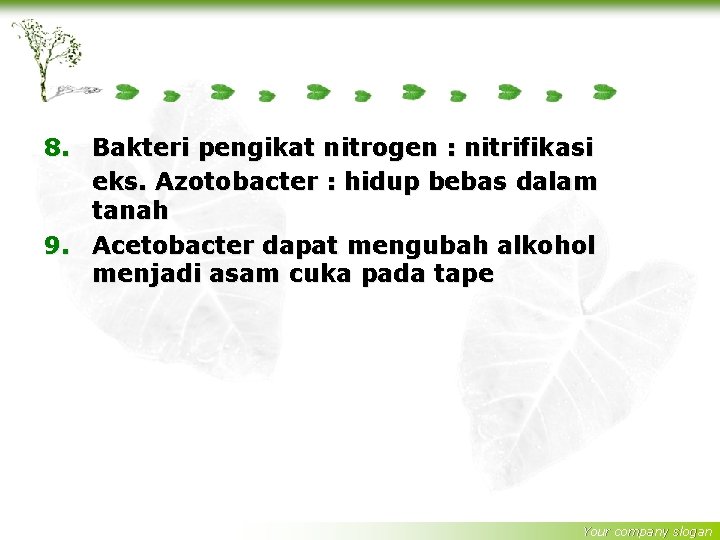8. Bakteri pengikat nitrogen : nitrifikasi eks. Azotobacter : hidup bebas dalam tanah 9.
