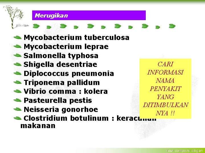 Merugikan Mycobacterium tuberculosa Mycobacterium leprae Salmonella typhosa CARI Shigella desentriae INFORMASI Diplococcus pneumonia NAMA