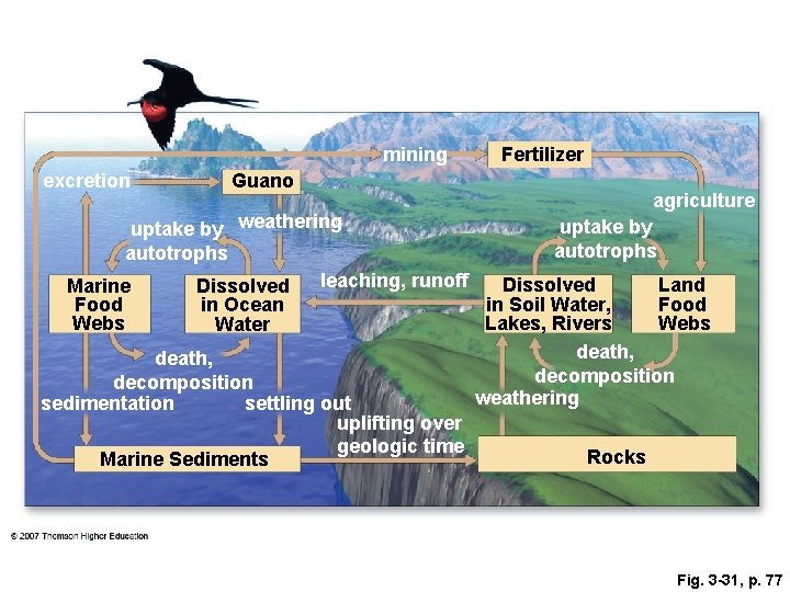 mining excretion Guano Fertilizer agriculture uptake by weathering autotrophs leaching, runoff Dissolved Land Marine