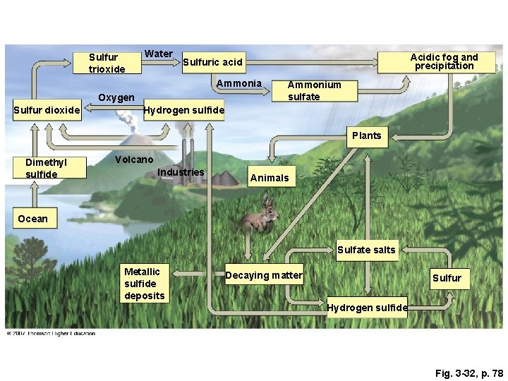 Sulfur trioxide Water Acidic fog and precipitation Sulfuric acid Ammonia Oxygen Sulfur dioxide Ammonium