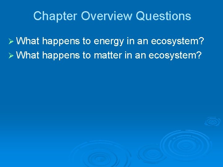 Chapter Overview Questions Ø What happens to energy in an ecosystem? Ø What happens
