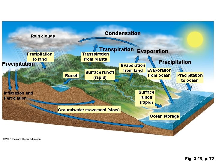 Condensation Rain clouds Transpiration Evaporation Transpiration Precipitation to land from plants Precipitation Runoff Surface