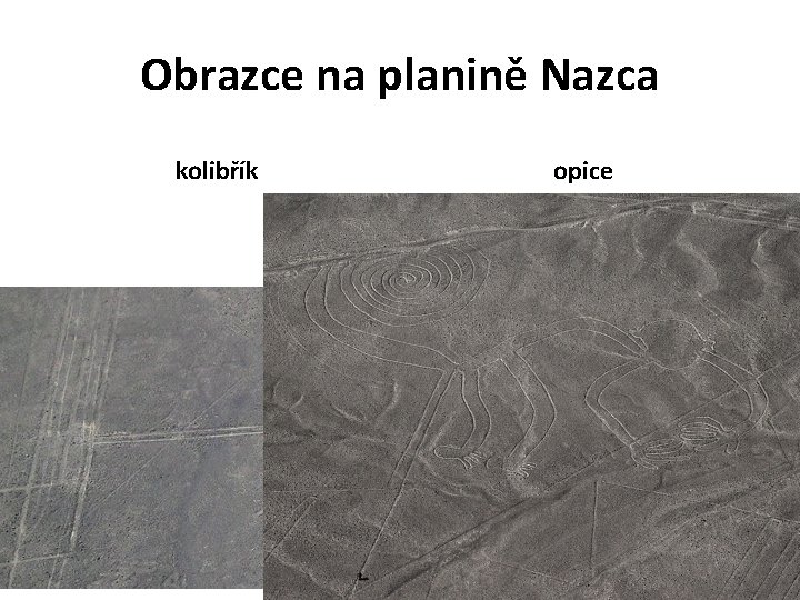 Obrazce na planině Nazca kolibřík opice 