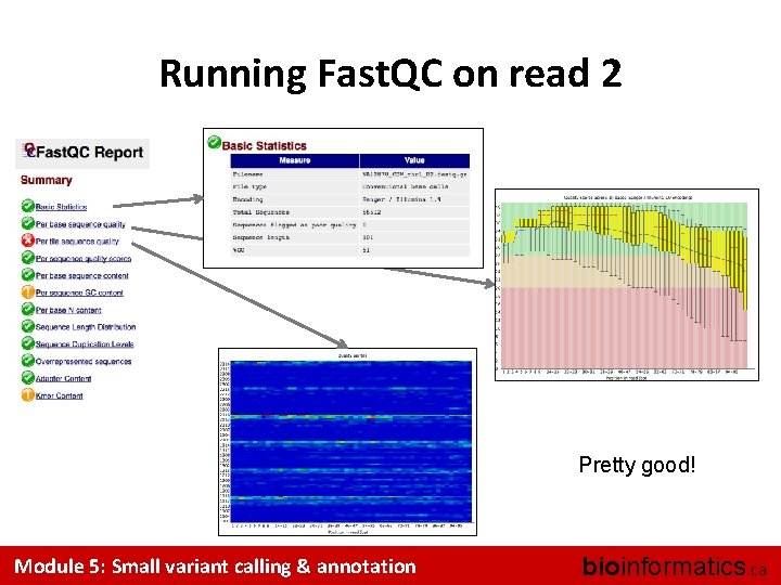 Running Fast. QC on read 2 Pretty good! Module 5: Small variant calling &