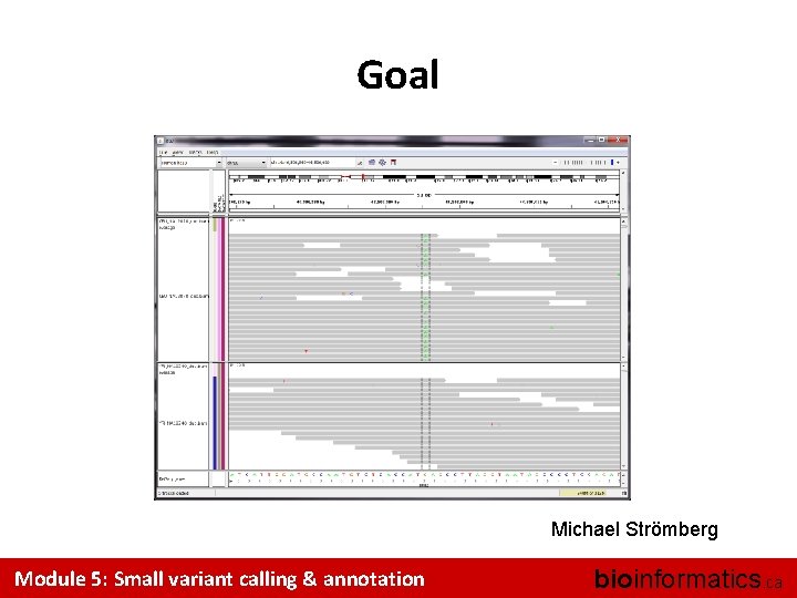 Goal Michael Strömberg Module 5: Small variant calling & annotation bioinformatics. ca 