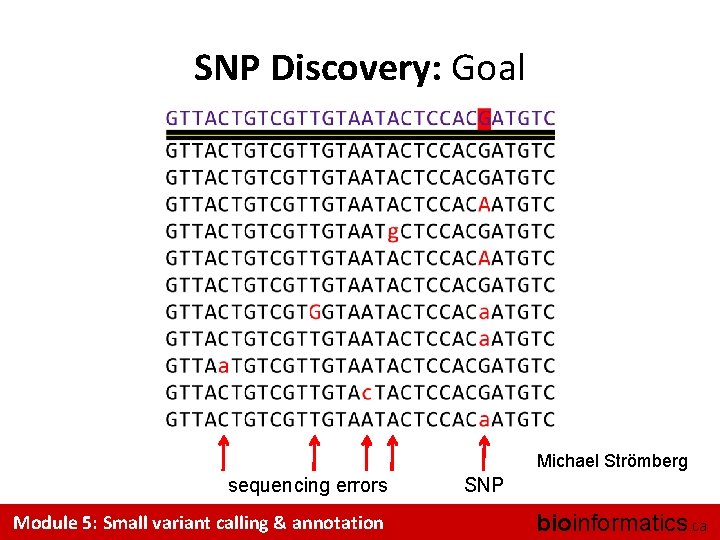 SNP Discovery: Goal Michael Strömberg sequencing errors Module 5: Small variant calling & annotation