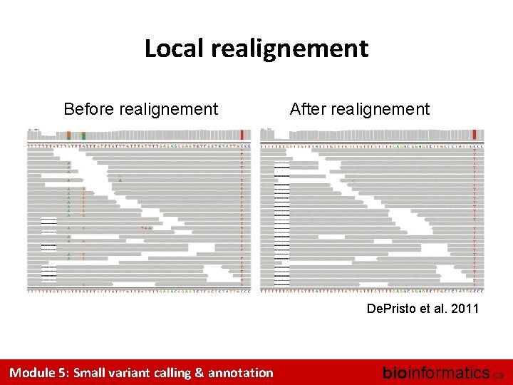 Local realignement Before realignement After realignement De. Pristo et al. 2011 Module 5: Small