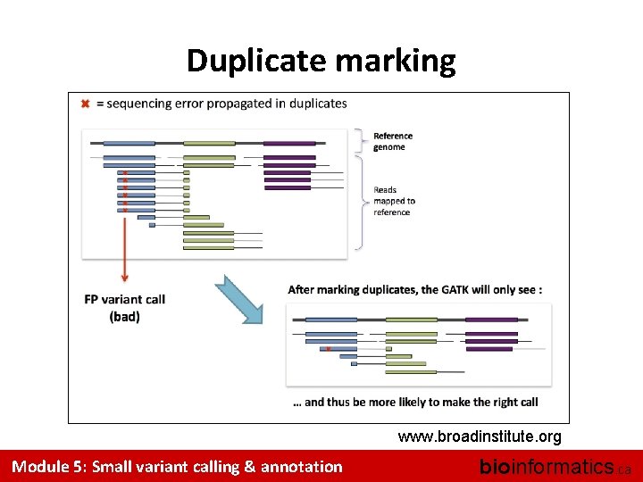 Duplicate marking www. broadinstitute. org Module 5: Small variant calling & annotation bioinformatics. ca